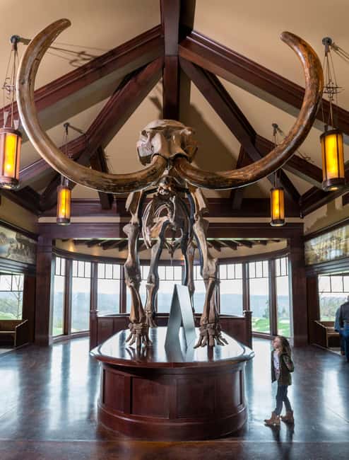 Branson: Top of the Rock Ozarks Heritage Preserve - Allow real time for the Ancient Ozarks Natural History Museum