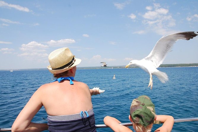 Brijuni National Park Boat Excursion from Pula. With a visit to the island - The boat, seating, and comfort