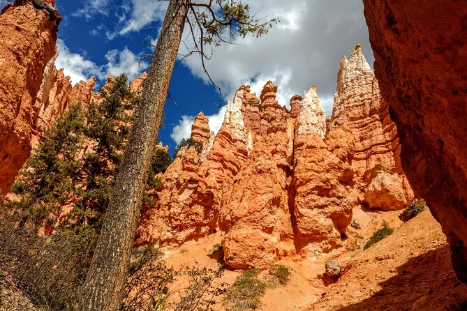 Bryce Canyon Hiking Challenge - How the $120 price works for you