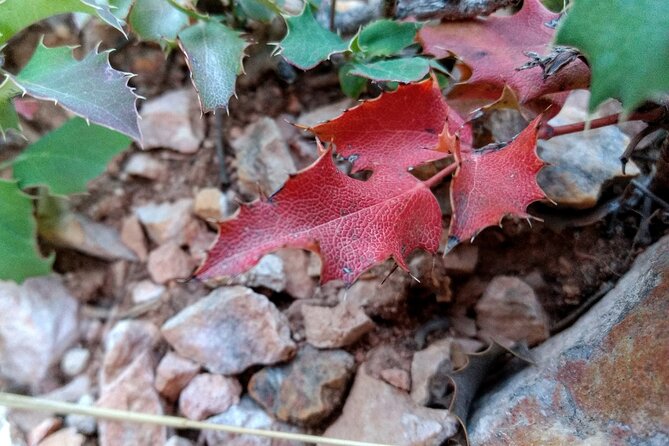 Bryce Canyon Hiking Challenge - Practical preparation for the 8,000-foot trails