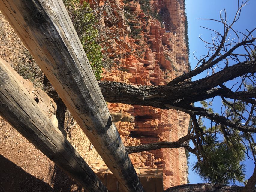 Bryce Canyon National Park: Guided E-Bike Tour - Who will enjoy this Bryce Canyon tour