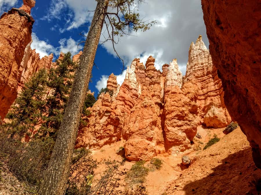 Bryce Canyon National Park Hiking Experience - Is $120 a fair price?