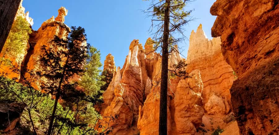 Bryce Canyon National Park Hiking Experience - What the first hours on the trail feel like