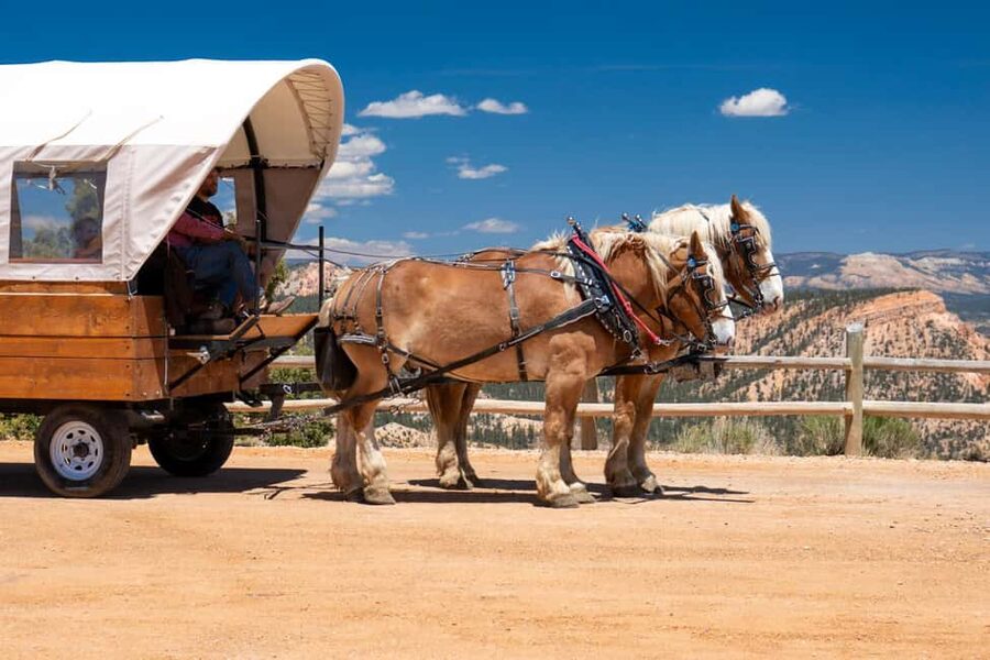 Bryce Canyon National Park: Scenic Wagon Ride to the Rim - How this compares with seeing Bryce on foot