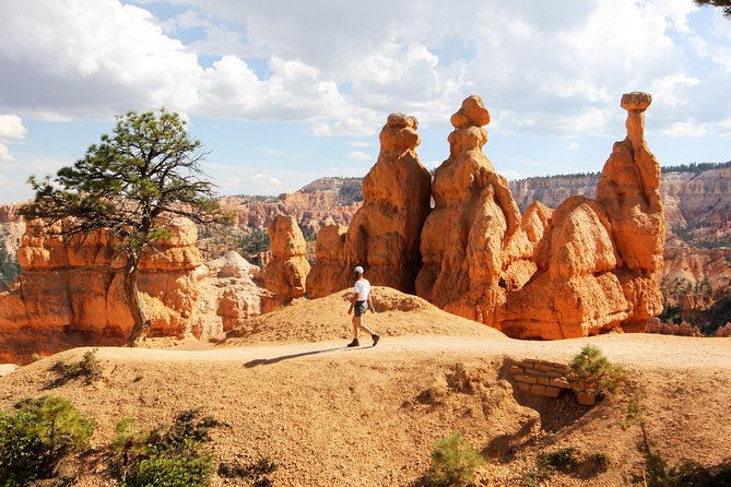 Bryce Canyon & Zion National Park from Las Vegas with Lunch, WiFi - What the long ride is really like