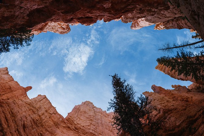 Bryce Canyon & Zion National Park from Las Vegas with Lunch, WiFi - The real price, including park fees