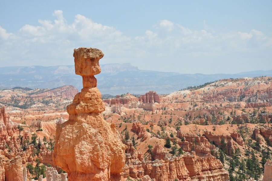 Bryce: Guided Sightseeing Tour of Bryce Canyon National Park - The guide makes the biggest difference