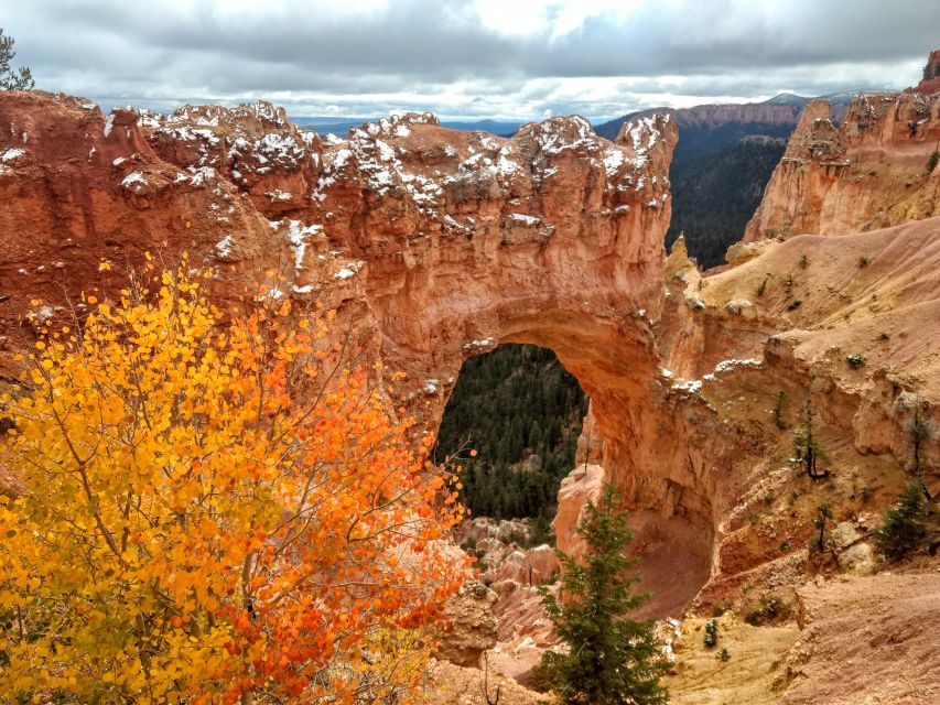 Bryce: Guided Sightseeing Tour of Bryce Canyon National Park - Why a guide helps at Bryce Canyon