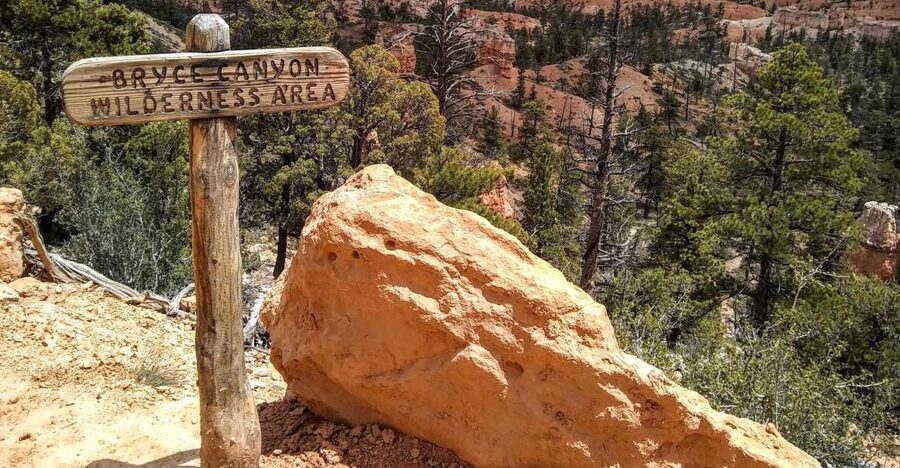 Bryce: Guided Sightseeing Tour of Bryce Canyon National Park - Natural Bridge and the high plateau view
