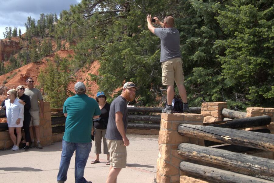 Bryce: Guided Sightseeing Tour of Bryce Canyon National Park - Inspiration Point and the art of hoodoo hunting