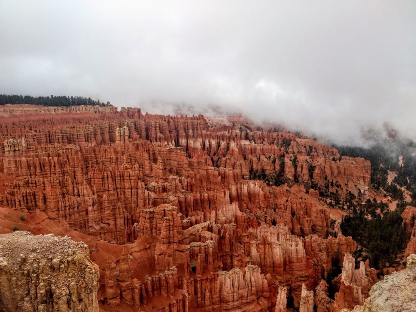 Bryce: Guided Sightseeing Tour of Bryce Canyon National Park - Wall Street and the Silent City