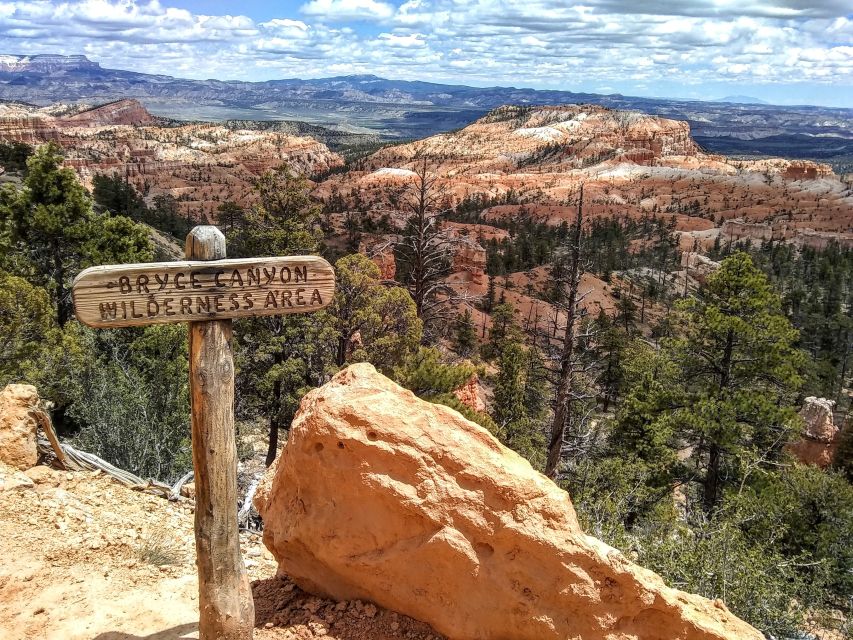 Bryce: Guided Sightseeing Tour of Bryce Canyon National Park - What the minivan format adds