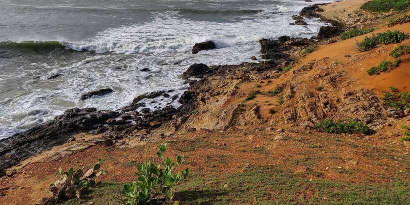 Bundala National Park: 3-Hour Morning or Evening Safari - Who will get the most from this safari