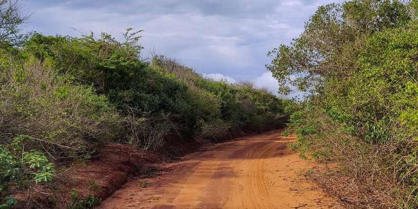 Bundala National Park: 3-Hour Morning or Evening Safari - Meeting the driver at Weligatta