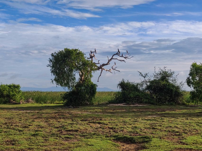 Bundala National Park: 3-Hour Morning or Evening Safari - What the three-hour route can show you