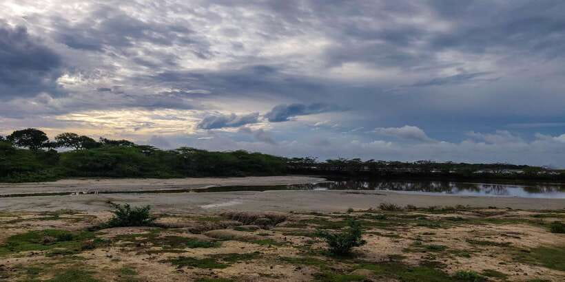 Bundala National Park: 3-Hour Morning or Evening Safari - Birdwatching is the strongest reason to come