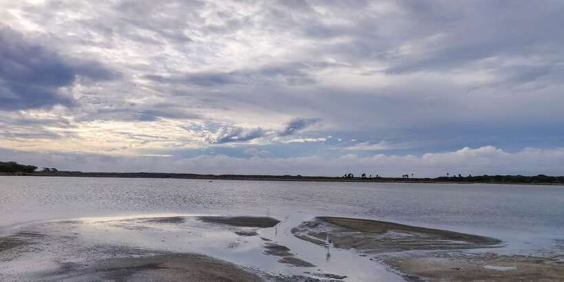 Bundala National Park: 3-Hour Morning or Evening Safari - What to bring and what not to expect