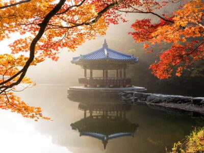 Busan: Naejangsan National Park Autumn Foliage One Day Tour