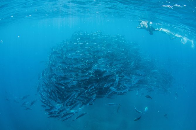 Cabo Pulmo National Park Snorkel Expedition from Cabo San Lucas - The long road to Cabo Pulmo