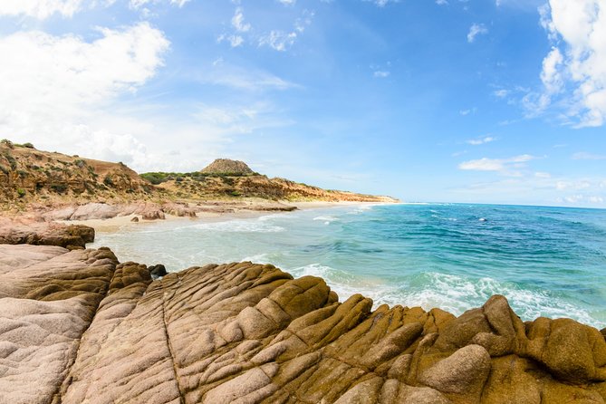 Cabo Pulmo National Park Snorkel Expedition from Cabo San Lucas - Who should book this outing