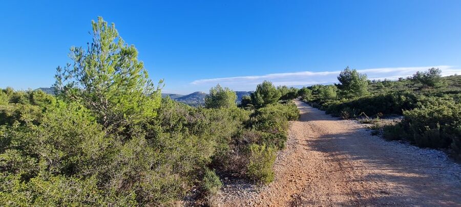 Calanques National Park: E-Mountain Bike with Virtual Guide - What the virtual guide does well