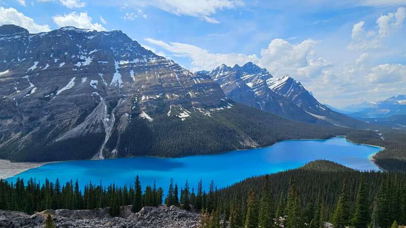 Calgary: 2-Day Banff National Park Highlights Summer Tour - Bow Lake on the Icefields Parkway