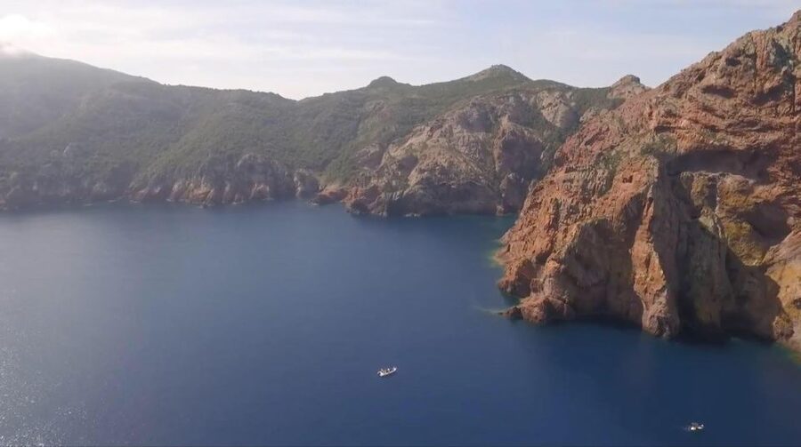 Calvi : Private boat tour of Scandola nature reserve - Leaving Calvi with the citadel in view