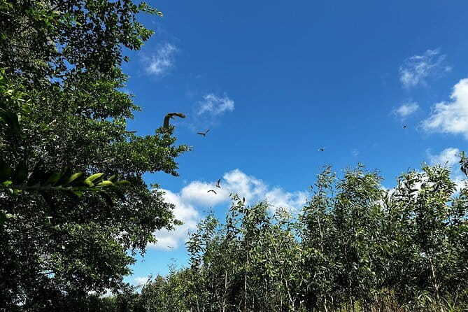 Can Tho: Explore Craft Village & Lung Ngoc Hoang Nature Reserve - Leaving Can Tho for the Lung Ngoc Hoang wetlands
