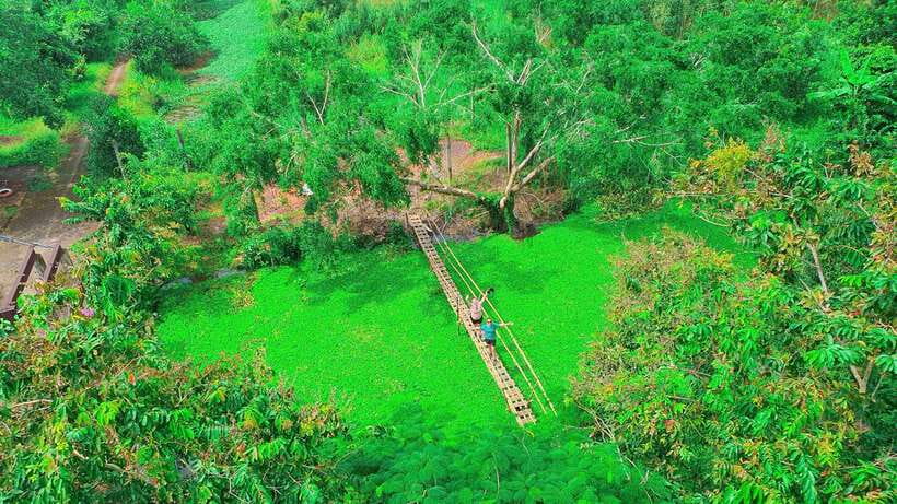 Can Tho: Floating Market & Lung Ngoc Hoang Nature Reserve - Quiet canals around Phong Dien