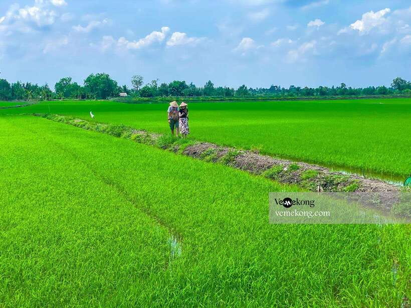 Can Tho: Lung Ngoc Hoang Forest Nature Reserve Half-Day Tour - Is $47 a Fair Price?