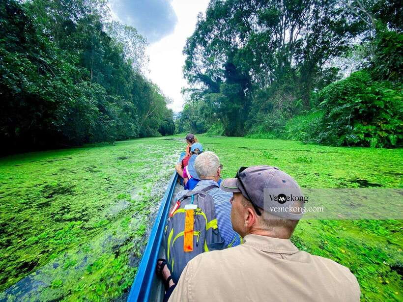Can Tho: Lung Ngoc Hoang Forest Nature Reserve Half-Day Tour - The Old Giant Ficus and Its Wartime Past