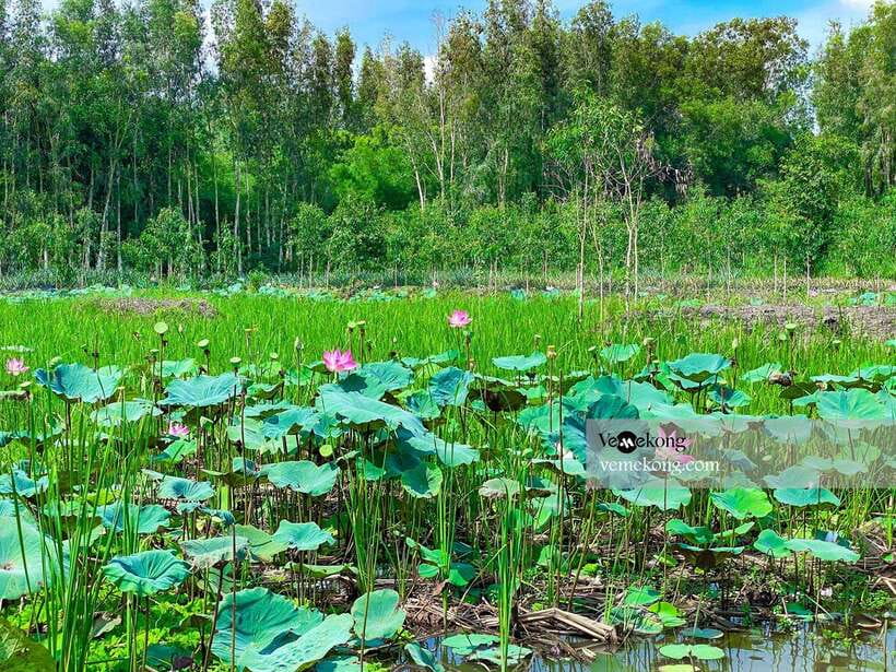 Can Tho: Lung Ngoc Hoang Forest Nature Reserve Half-Day Tour - How the Tour Feels in a Small Group