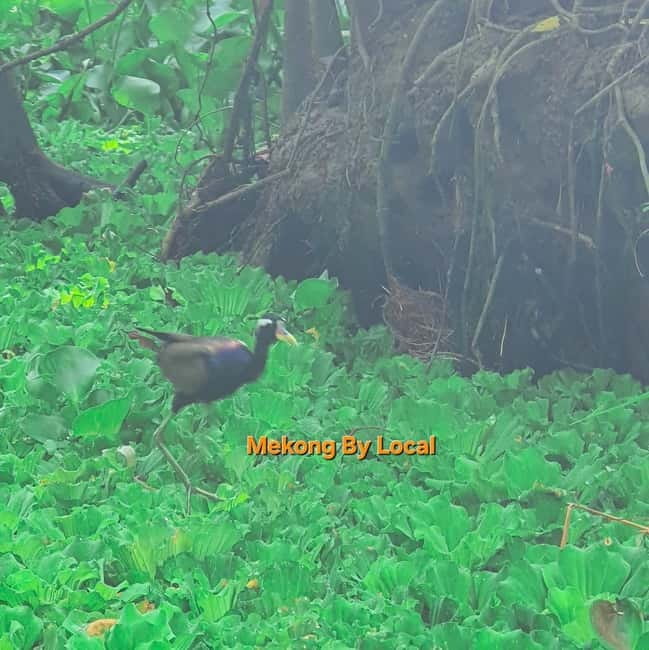 Can Tho: Lung Ngoc Hoang Forest Nature Reserve Tour - How the transport and group size affect the experience