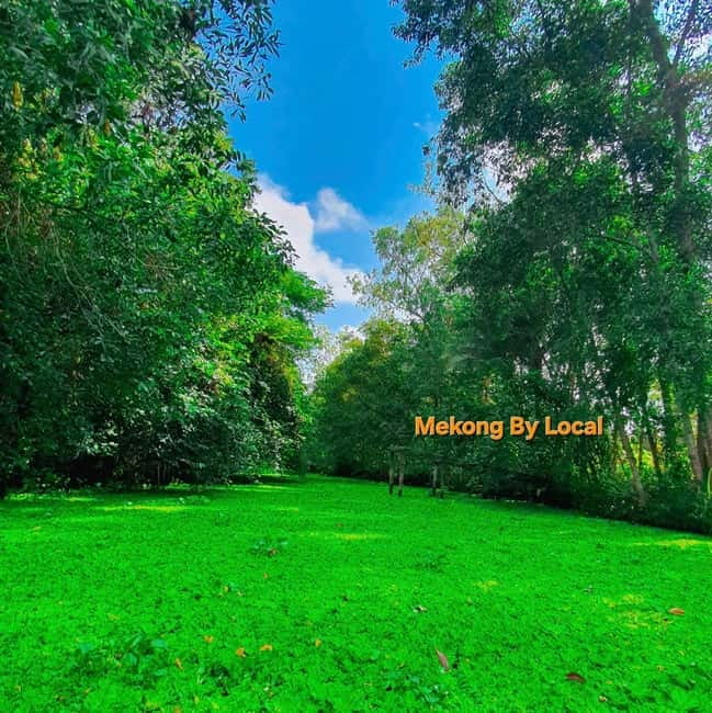 Can Tho: Lung Ngoc Hoang Forest Nature Reserve Tour - Who should book this Can Tho nature tour?