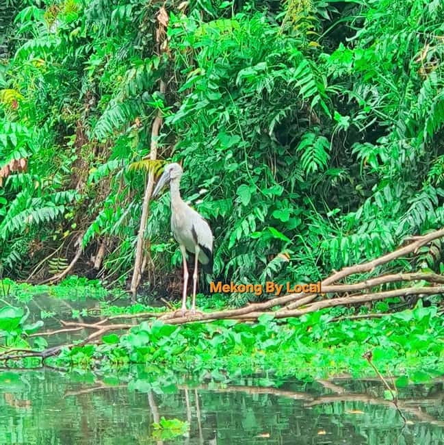 Can Tho: Lung Ngoc Hoang Nature Reserve and Mekong's Soul. - Starting from Can Tho with a small group