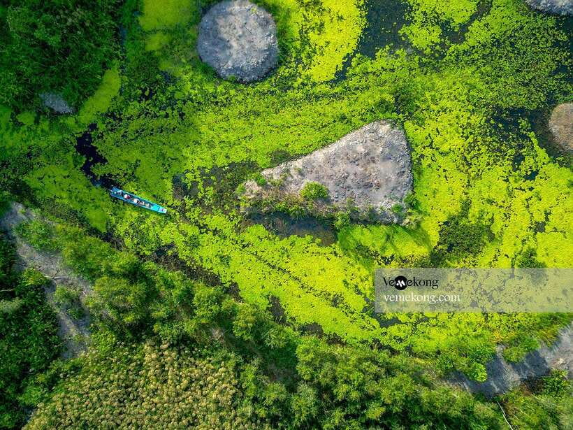 Can Tho: Lung Ngoc Hoang Nature Reserve & Forest Tour - Morning or afternoon departure?