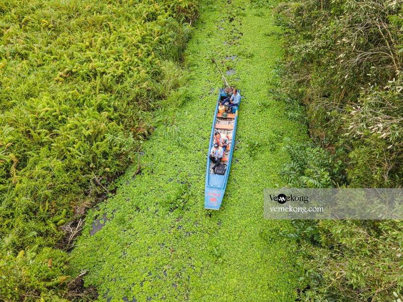Can Tho: Lung Ngoc Hoang Nature Reserve & Forest Tour - Who should book this forest outing?
