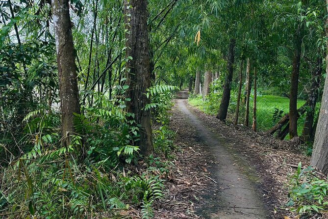 Can Tho: Lung Ngoc Hoang Nature Reserve & Hidden Forests - Morning or afternoon: choosing your departure