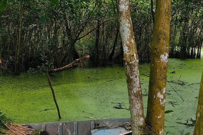 Can Tho: Lung Ngoc Hoang Nature Reserve & Hidden Forests - Who will enjoy this reserve most
