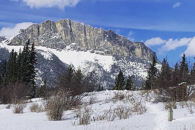 Canmore: Wilderness & Wildlife Tour - 2hr Walk - Wildlife is the subject, not a guarantee
