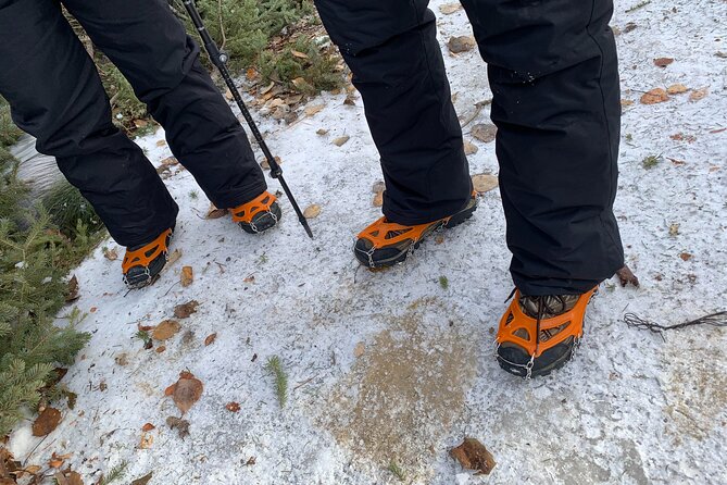 Canmore: Wilderness & Wildlife Tour - 2hr Walk - Guides who make the difference