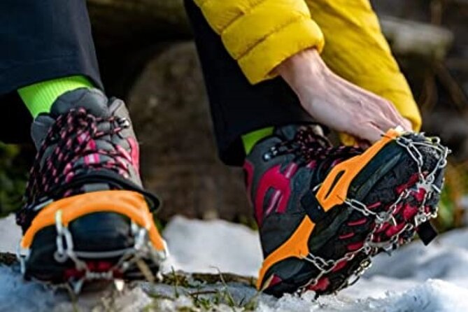 Canmore: Wilderness & Wildlife Tour - 2hr Walk - Is $90.07 a fair price?