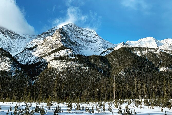 Canmore: Wilderness & Wildlife Tour - 2hr Walk - Weather, timing, and practical planning
