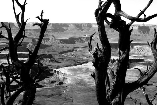 Canyonlands National Park Half-Day Tour from Moab - Guides, vehicles, and group size