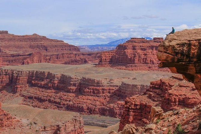 Canyonlands National Park Half-Day Tour from Moab - What the $196.96 price buys you
