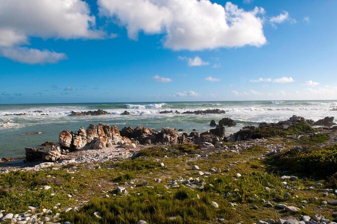 Cape Agulhas | Stony Point Nature Reserve - Key points to know before you book