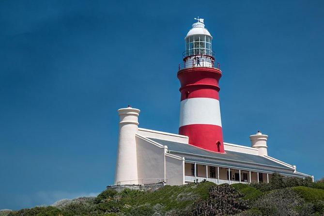 Cape Agulhas | Stony Point Nature Reserve - Stony Point’s penguins are the day’s uncertain bonus