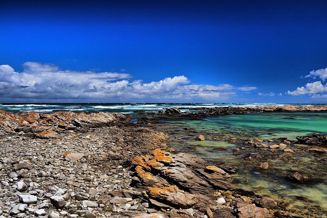 Cape Agulhas | Stony Point Nature Reserve - A private vehicle changes the value calculation
