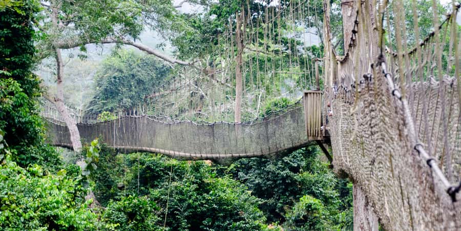 Cape Coast: Kakum National Park, Castles, & Hans Cottage - From Accra to Kakum National Park