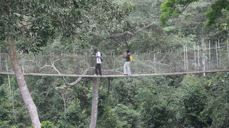 Cape Coast: Kakum National Park, Castles, & Hans Cottage - Cape Coast Castle and the hard history of the coast